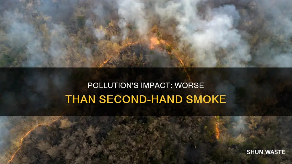 how pollution affects environment more than second hand smoke