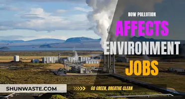 Pollution's Impact: Environmental Jobs at Risk