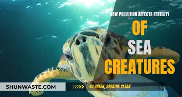 Sea Creatures' Fertility: The Impact of Pollution