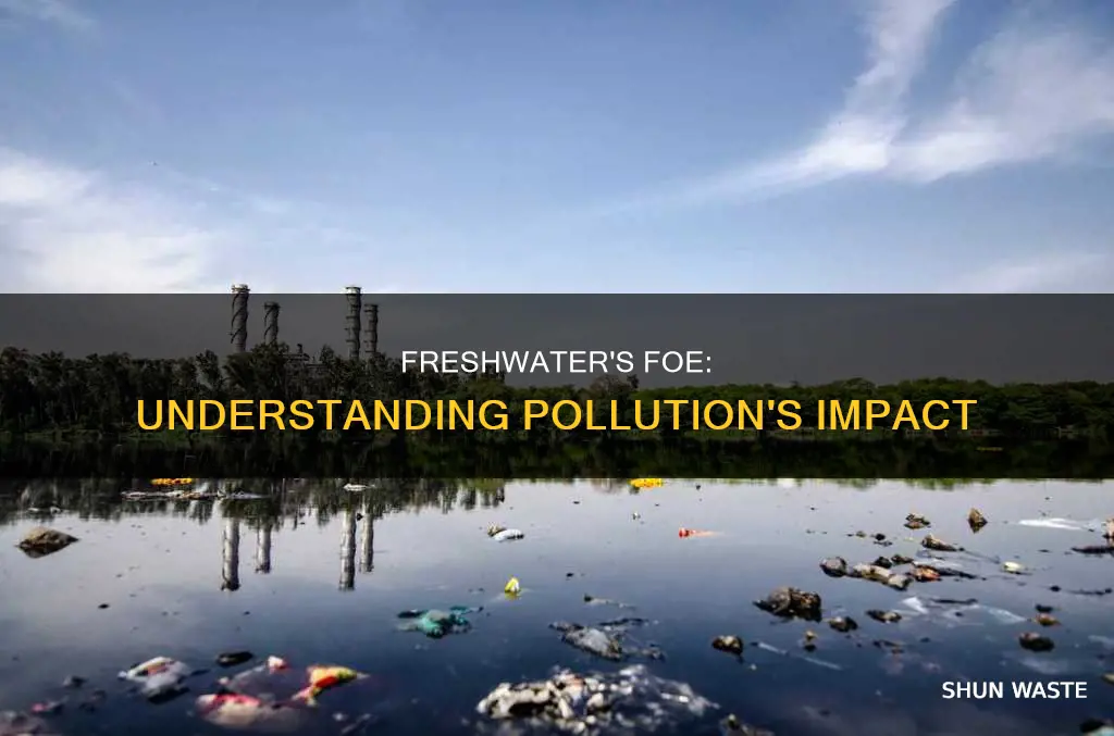 how pollution affects freshwater