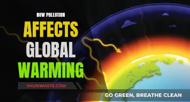 Pollution's Impact: Global Warming's Ugly Truth