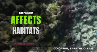 Pollution's Impact: Devastating Effects on Natural Habitats