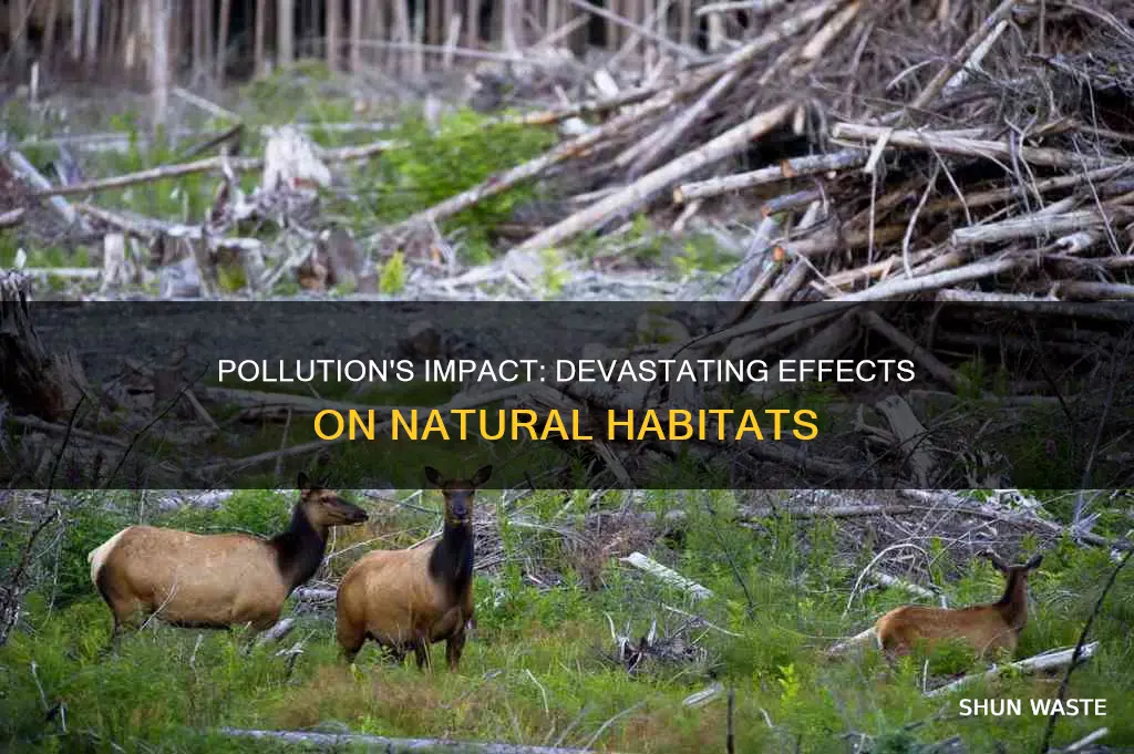 how pollution affects habitats