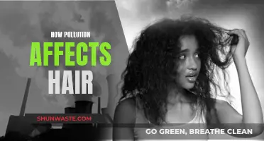 Pollution's Impact: Hair and Scalp Health