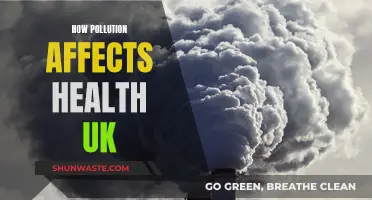 UK Health: The Impact of Pollution