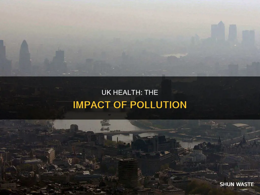 how pollution affects health uk