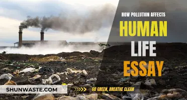 Pollution's Impact: Human Life and Health