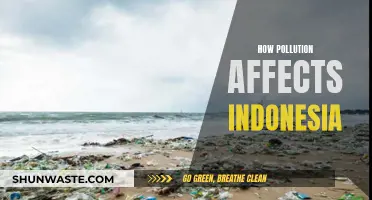 Pollution's Impact on Indonesia: A Troubling Reality