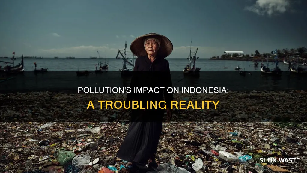 how pollution affects indonesia