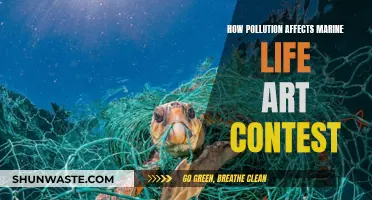 Marine Life Art: Pollution's Impact Revealed