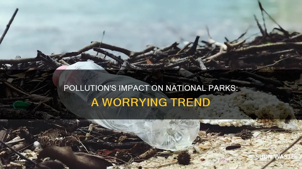 how pollution affects national parks