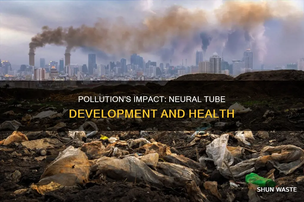 how pollution affects neural tube