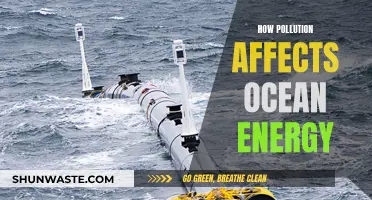 Ocean Energy Crisis: Pollution's Impact