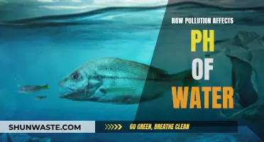 Unveiling the Impact: Pollution's Grip on Water's pH Balance