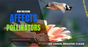 Pollutants' Impact: Protecting Pollinators and Our Future