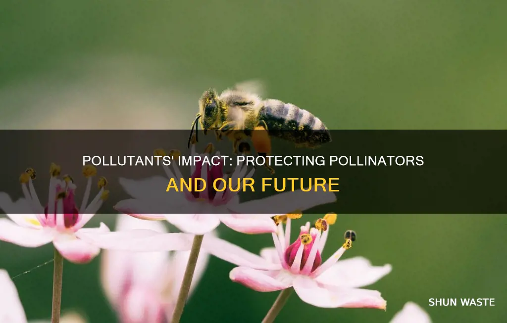 how pollution affects pollinators