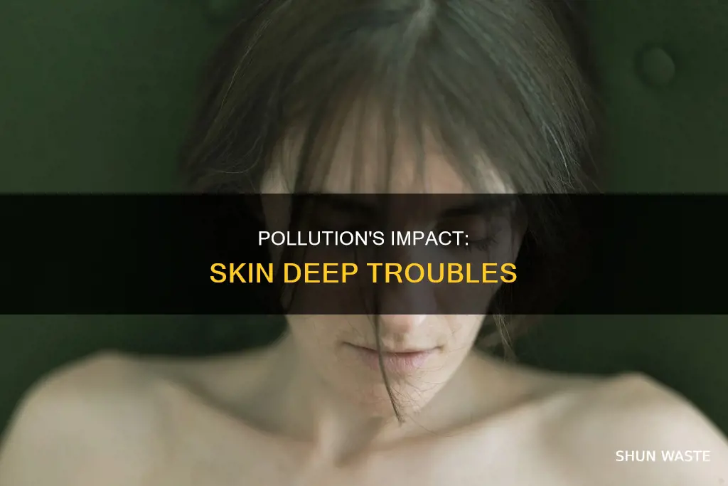 how pollution affects skin