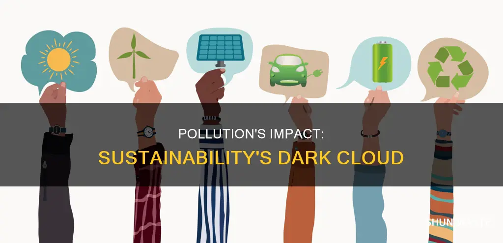 how pollution affects sustainability