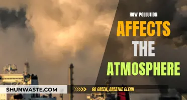 Pollution's Impact: Atmosphere and Beyond