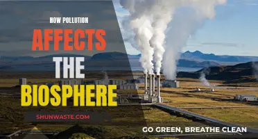 Pollution's Impact: Biosphere Under Threat