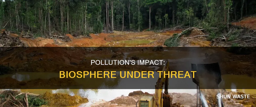 how pollution affects the biosphere