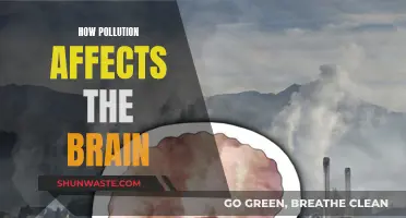 Pollution's Brain Drain: Understanding the Impact on Our Minds