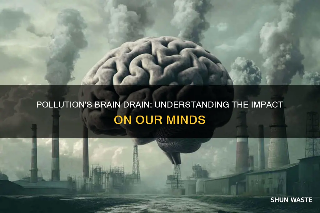 how pollution affects the brain