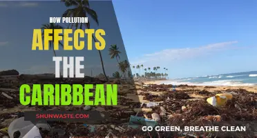 Caribbean Crisis: Pollution's Impact on Paradise