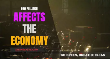 Pollution's Economic Impact: A Costly Affair