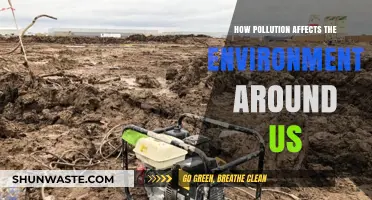 Pollution's Devastating Impact: How It Destroys Our Environment and Ecosystems
