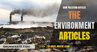 Pollution's Impact: Environmental Damage and Our Future