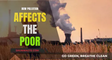 Pollution's Impact: The Poor's Plight and Health