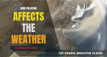 Pollution's Impact: Weather Patterns and Climate Change