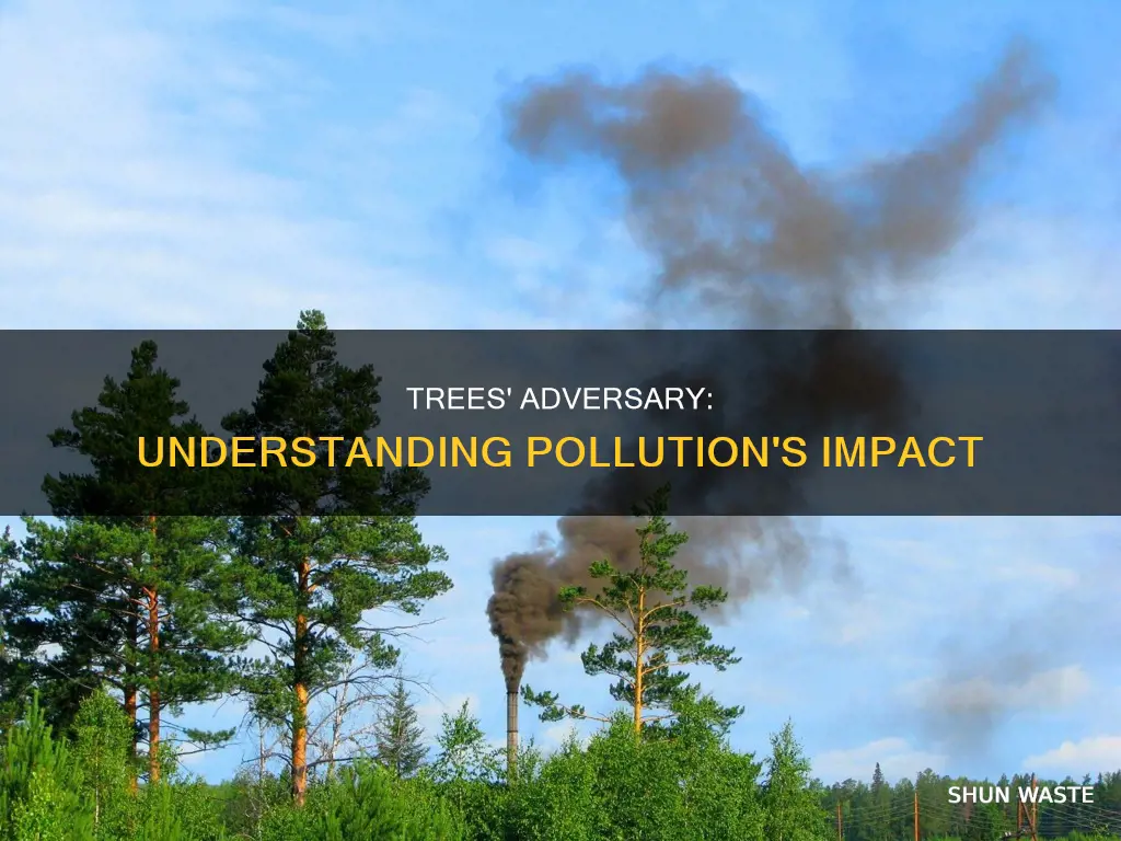 how pollution affects trees