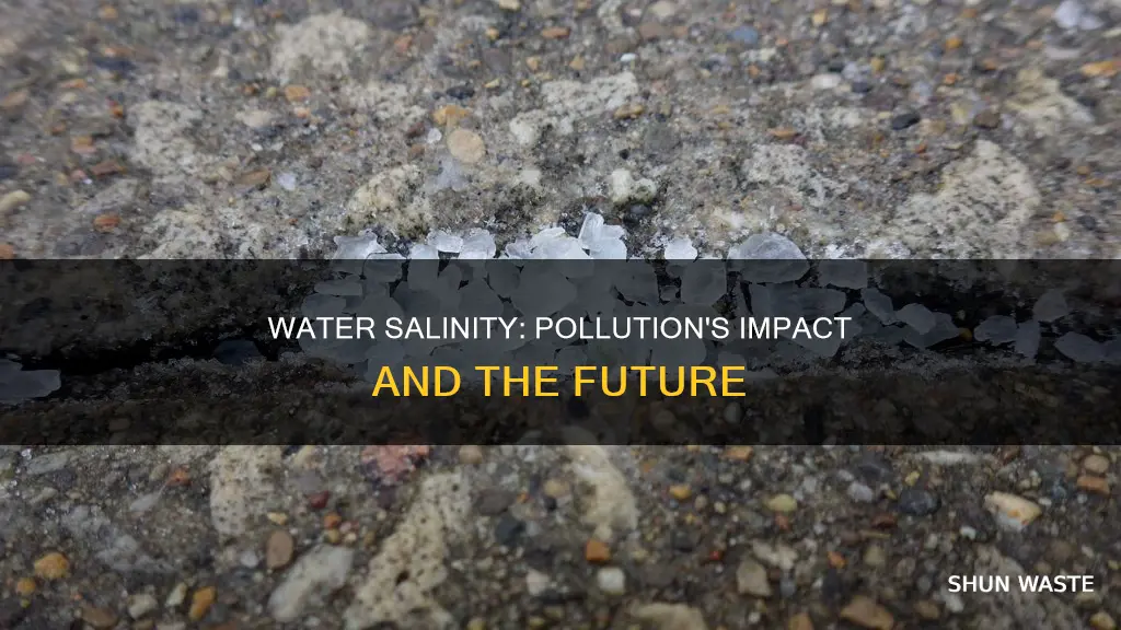 how pollution affects water salinity