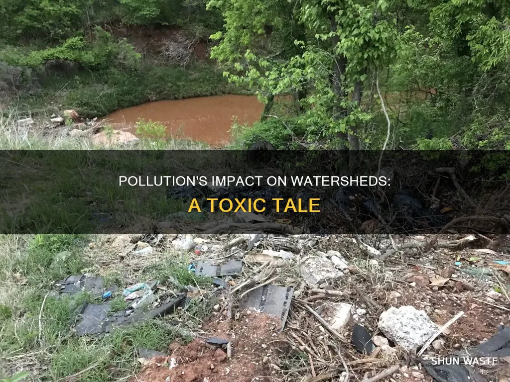 how pollution affects watersheds