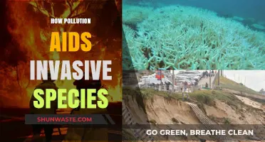Invasive Species: Pollution's Unlikely Beneficiaries