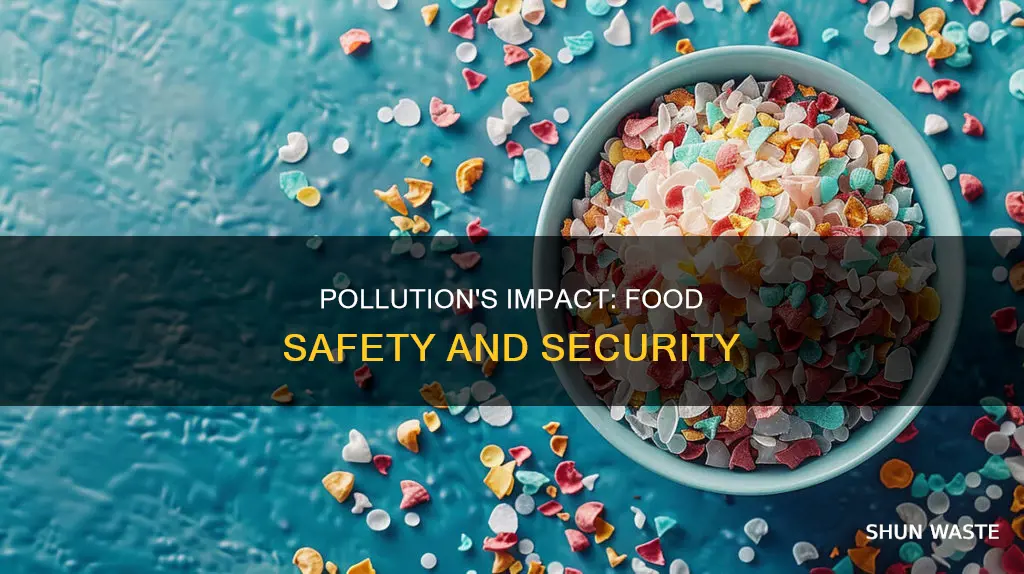 how pollution can affect food