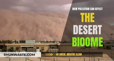 Pollution's Impact: Desert Biome's Struggle