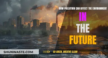 Pollution's Future Impact: Environmental Threats and Challenges