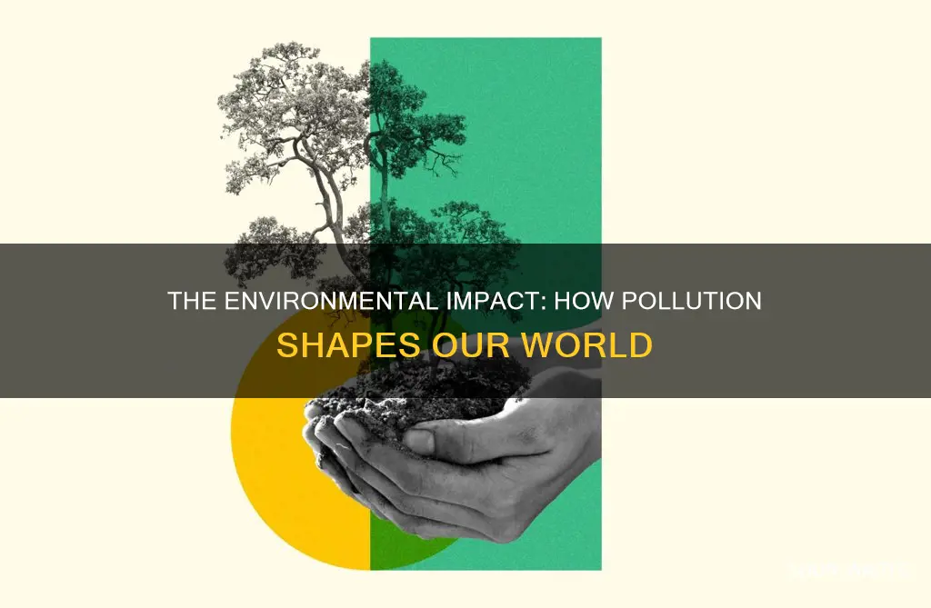 how pollution can affect the environment