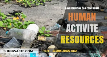 Human Activity's Hidden Cost: Unveiling Pollution's Sources