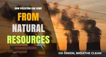 Nature's Resources: Unveiling the Hidden Cost of Pollution