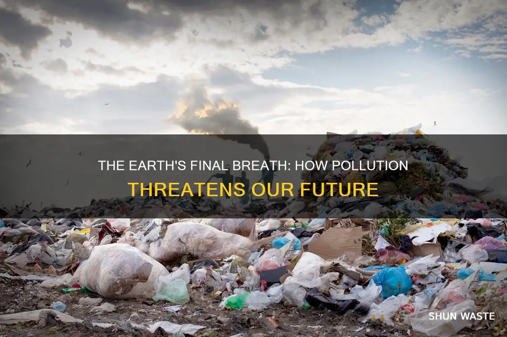 how pollution can end the earth