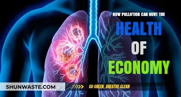 Pollution's Impact: A Hidden Threat to Economic Growth