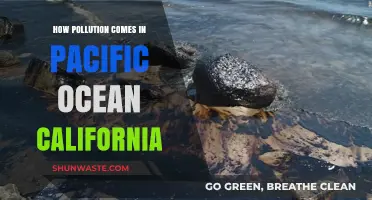 California's Pacific Ocean Pollution: Sources and Solutions