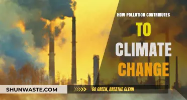 Climate Change: Pollution's Dark Impact