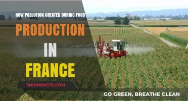 France's Food Production: Pollution and Its Impact