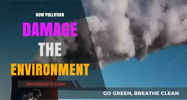 The Dark Side of Pollution: Damaging Our Environment