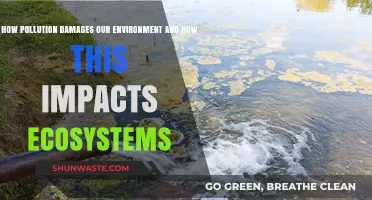 Pollution's Devastating Impact: How Environmental Damage Destroys Ecosystems